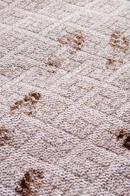 carpeting
