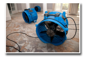 water damage repair