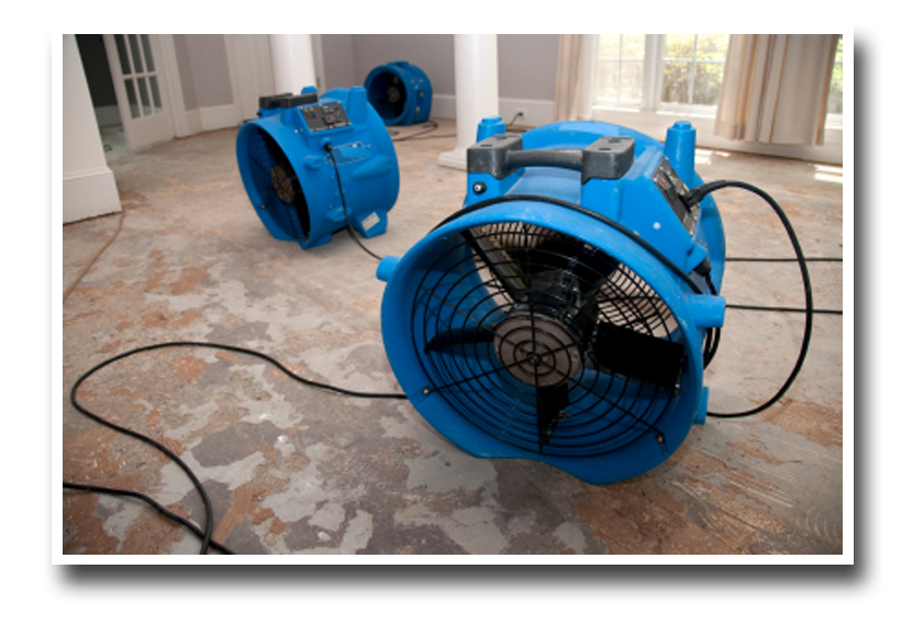 water damage repair