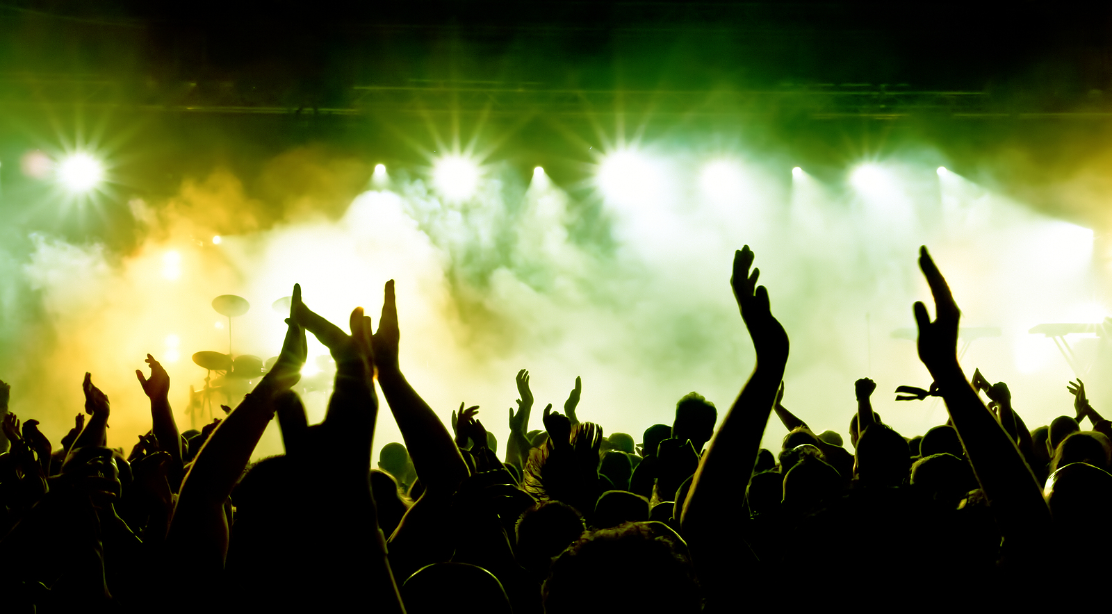 music concert crowd